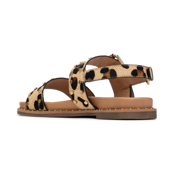 LEOPARDO