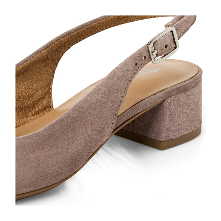 TAUPE