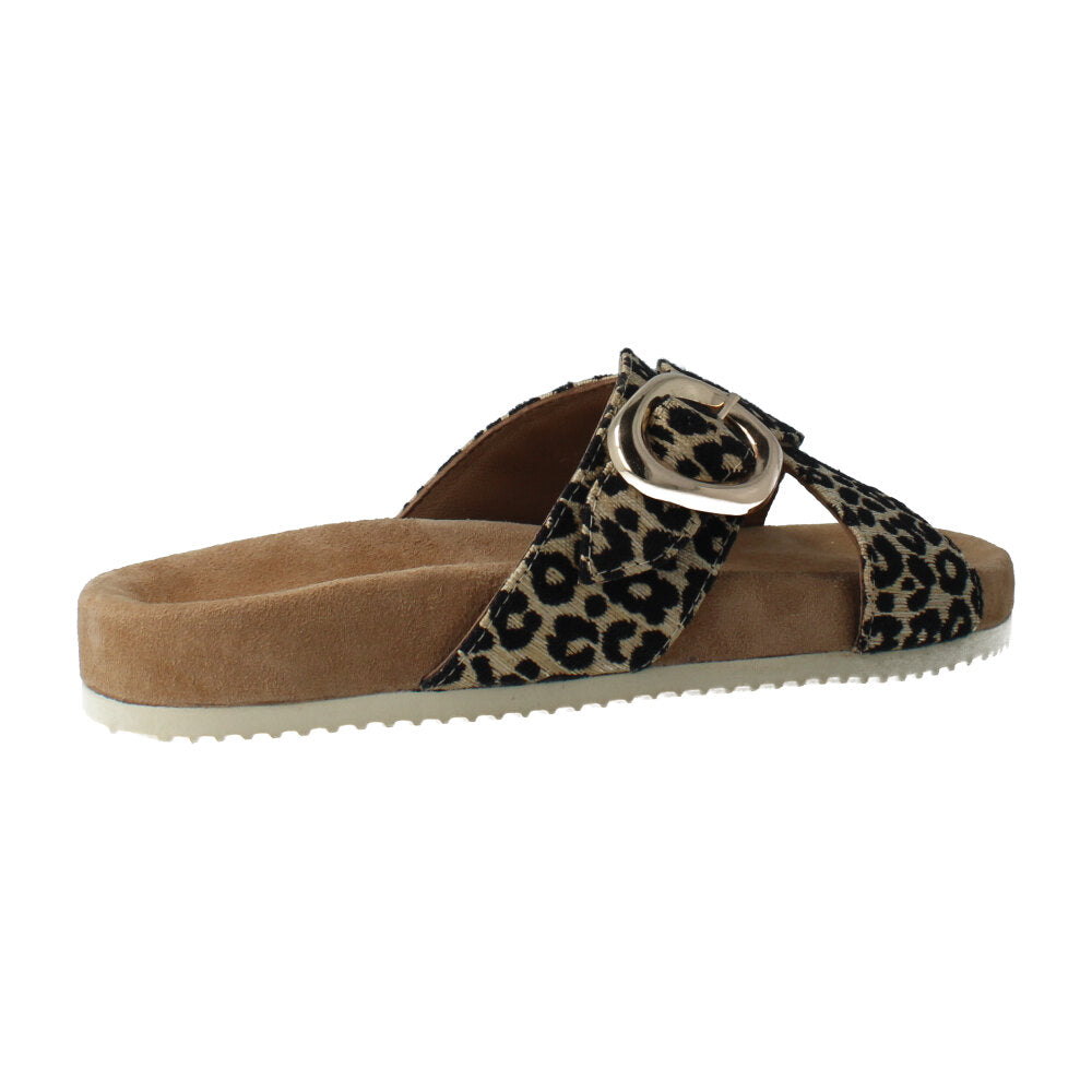 LEOPARDO