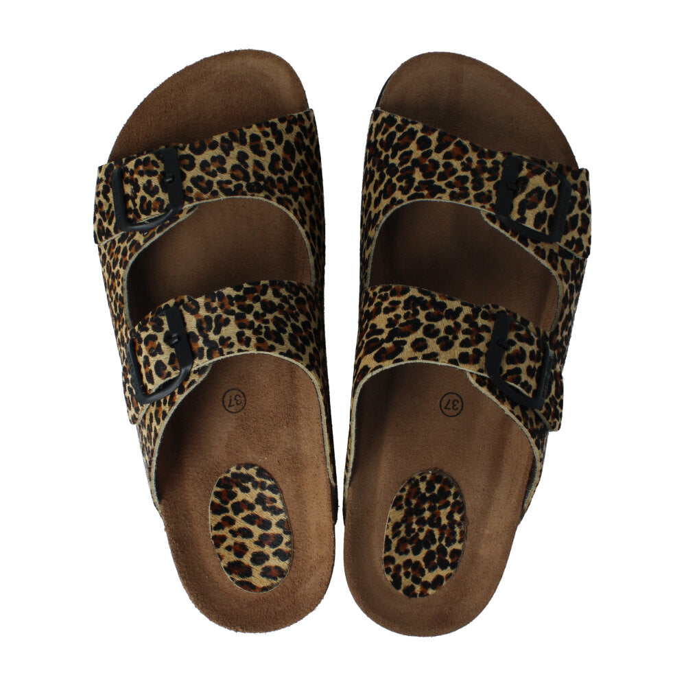 LEOPARDO