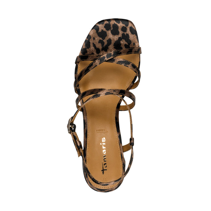 LEOPARDO